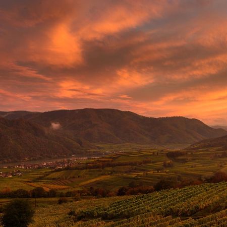 ホテル Gaestehaus Familie Trachsler Rohrendorf bei Krems エクステリア 写真