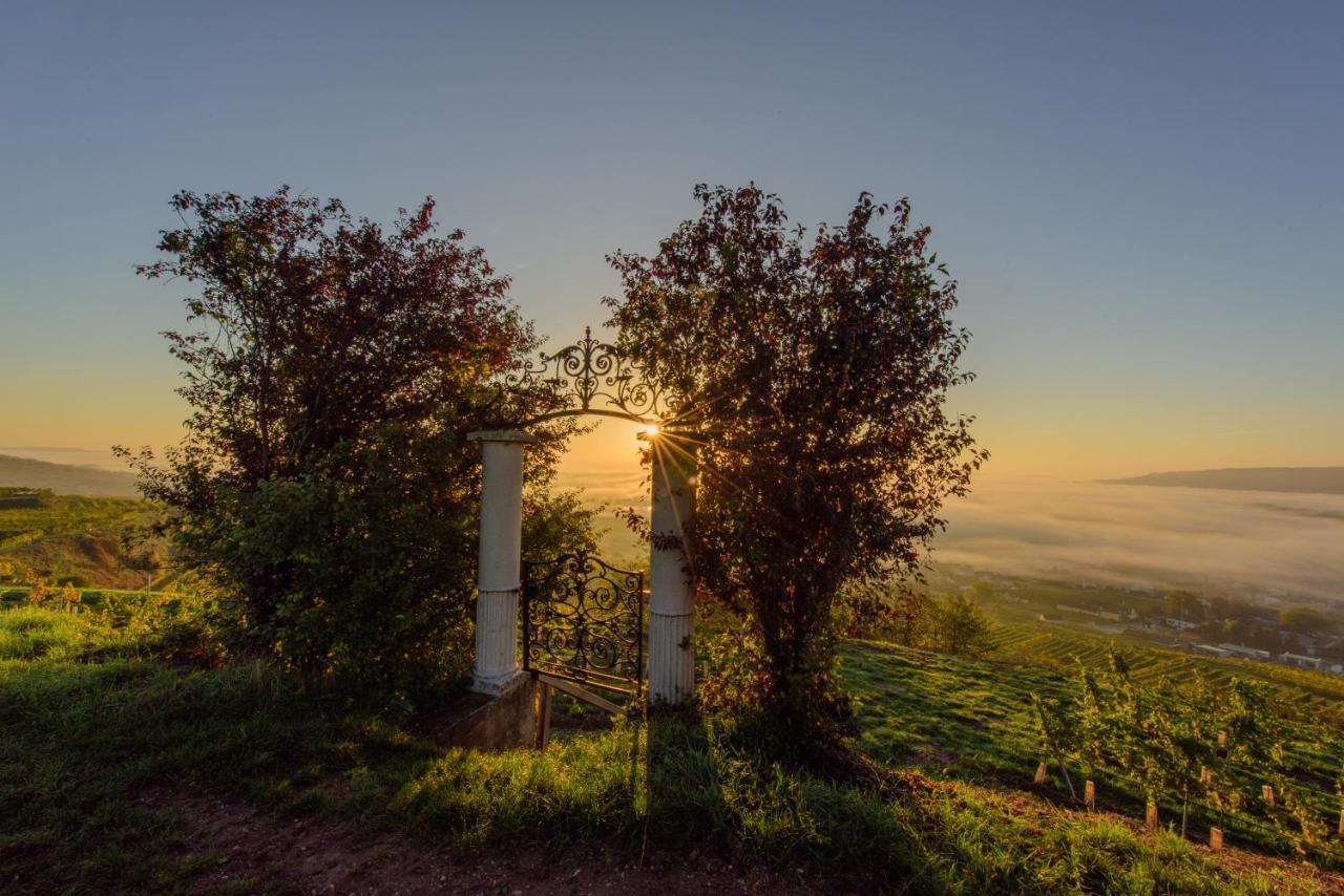 ホテル Gaestehaus Familie Trachsler Rohrendorf bei Krems エクステリア 写真