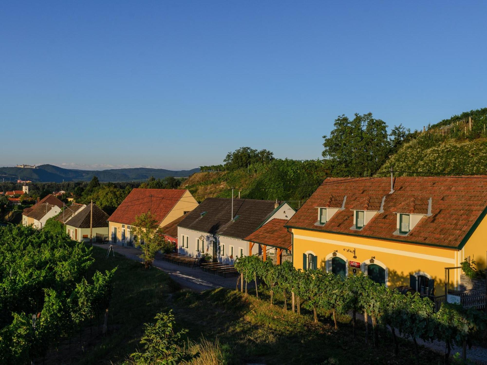 ホテル Gaestehaus Familie Trachsler Rohrendorf bei Krems エクステリア 写真