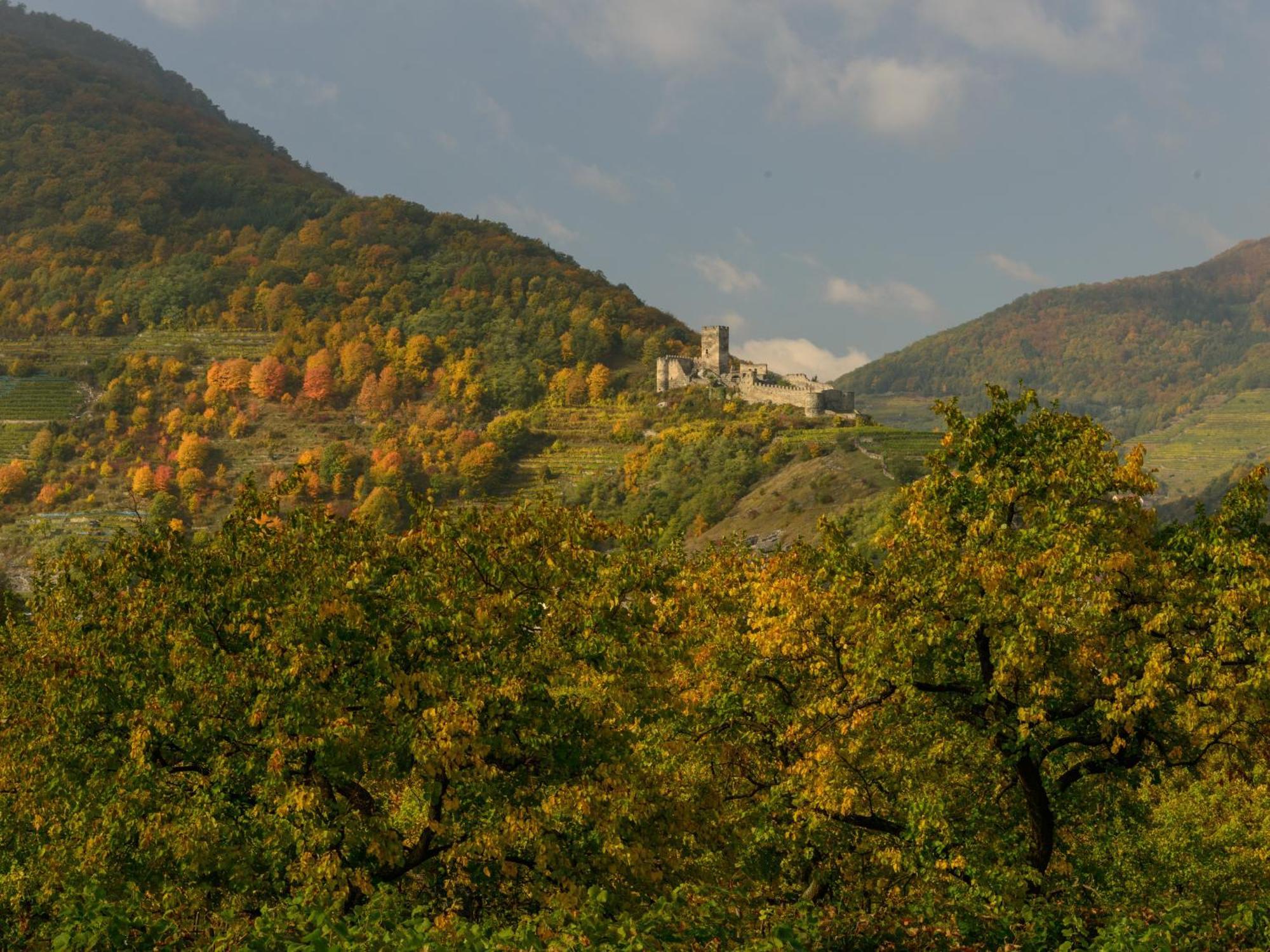 ホテル Gaestehaus Familie Trachsler Rohrendorf bei Krems エクステリア 写真