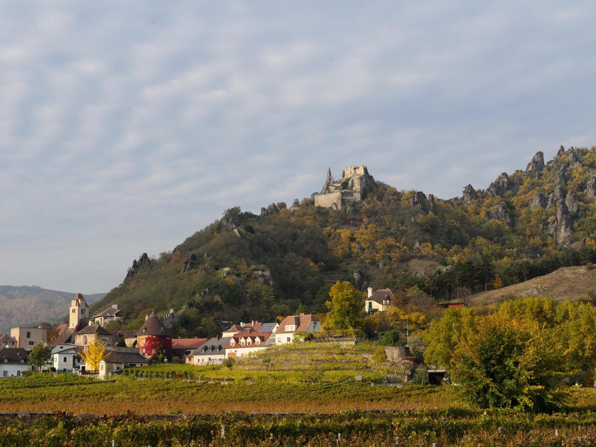 ホテル Gaestehaus Familie Trachsler Rohrendorf bei Krems エクステリア 写真